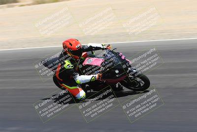 media/May-14-2023-SoCal Trackdays (Sun) [[024eb53b40]]/Turn 3 Inside (12pm)/